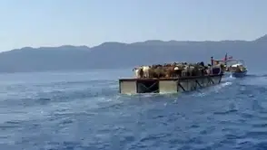 Ege’nin sularında asırlık gelenek: Keçiler tekneyle yaylaya çıkıyor