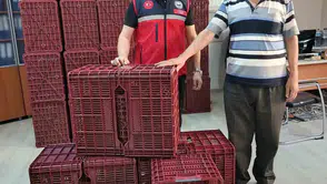 Köşk’te incir sezonuna hijyen desteği: Üreticiye modern ekipman takviyesi