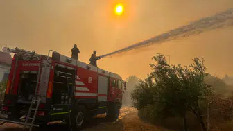 İzmir’de Zeytinlikteki Yangına Hızlı Müdahale, Yerleşimler Tahliye Edildi