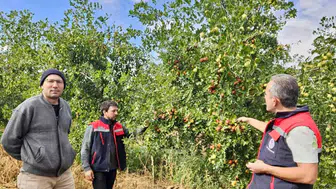 Başmakçı’da toprağın yeni gözdesi hünnap oldu: Üreticiye bereket getirdi