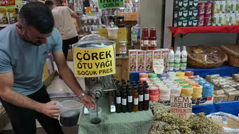 Mevsim geçişlerinde kalkan etkisi: Çörek otu yağı ile bağışıklığınızı zırhlayın