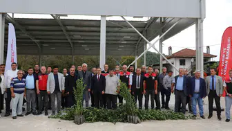 Muğla’nın yeşil altınında hedef 75 milyon dolar: Kadın üreticiler sahada