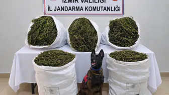 Tire’de jandarmadan zehir tacirlerine geçit yok: 54 kilo esrar ele geçirildi