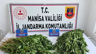 Manisa'da zehir tacirlerine jandarma darbesi: 4 ilçede eş zamanlı operasyon