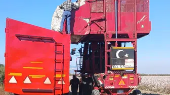 Söke ovasında beyaz altın mesaisi: Tarım ekiplerinden hasat makinelerine yakın takip