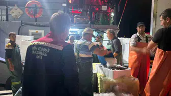 Didim'de denizlerdeki hamsi bereketi için sıkı takip: Ekipler sahaya indi