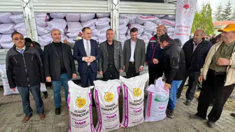 Çaylı çiftçiye bereketli destek: 56 ton tohum toprakla buluşuyor