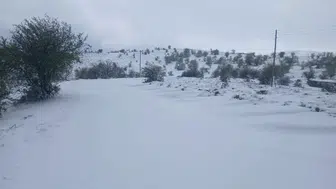 Manisa'nın zirvelerine kışın ilk müjdesi: Beyaz örtüyle tanıştılar