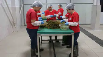 Efeler'in mutfağından dünyaya açılan lezzet kapısı: Ürün gamı 63 çeşide çıktı