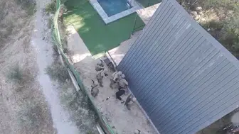 Dokuz yıllık firar bitti: Özel harekatın kıskacına giren hükümlü arazide yakalandı