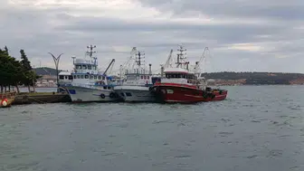 Ege'de poyraz bereketi kesti: Balıkçılar rotayı limana çevirdi