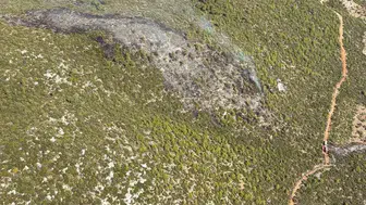 Bodrum'un ciğerleri yanmaktan son anda kurtuldu: Alevlere havadan ve karadan dev operasyon