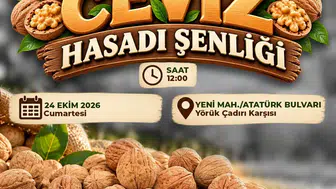 Çameli’de hasat vakti: Ceviz üreticisi festivalle taçlanıyor
