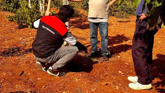 Bekilli’de bereketin anahtarı toprak analizinde aranıyor