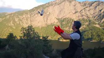 Burdur’un yaban hayatına 200 yeni misafir: Keklikler özgürlüğe kanat çırptı