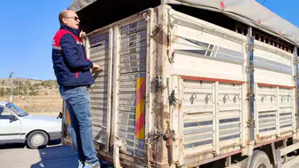 Dazkırı yollarında sıkı denetim: Hayvan nakillerinde taviz yok