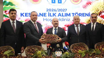 Aydın’da kestane bereketi: Sezonun ilk ürününe sembolik fiyat
