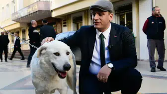 Bornova Belediyesi: Ege Üniversitesi'ndeki 83 köpek belediye yerleşkesine alındı