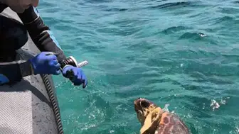 Gökova Körfezi’nde nefes kesen kurtarma operasyonu: Ölüm tuzağından son anda çekip çıkardılar
