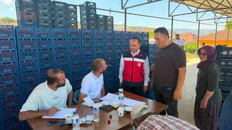 Simav’da kiraz mesaisi: Üreticinin derdi yerinde dinlendi