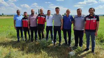 Kütahya toprağında yeni dönem: Çörek otu tarlaları mercek altında