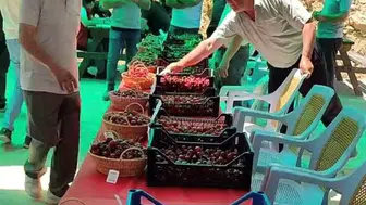 Kütahya’da kiraz bereketi: Kutlubeyler köyünde festival rüzgarı esti