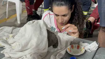 Seydikemer’de orman yangınının sessiz mağduruna gönüllü şefkati