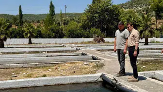 Bozdoğan’da saha mesaisi: Kaymakam Sözen üretim tesislerini mercek altına aldı