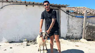 Beş yıllık pişmanlık kurbanla bitti: Ehliyetine kavuşan galerici tövbe etti