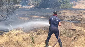 Didim’de alevler yerleşim yerlerini teğet geçti: Korku dolu anlar yaşandı