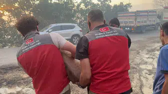 Seydikemer’de alevler hayvanları tehdit etti: Ekipler seferber oldu