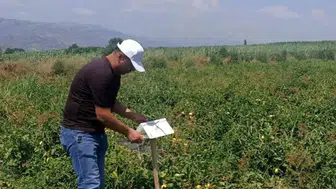 Köşk ovasında kritik mesai: Tarım ekipleri tarlaları karış karış denetledi
