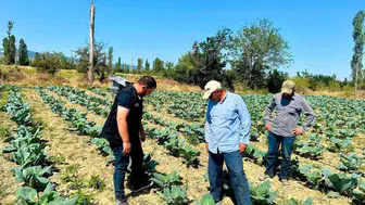 Afyonkarahisar’da tarım seferberliği: Üreticinin tarlasına uzman eli değdi