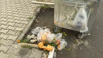 Bolvadin'de vicdan sızlatan görüntüler: Çöp konteynerleri boş ama sokaklar atık dolu