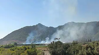 Dalaman’da alevler korkuttu: Ekiplerin hızlı müdahalesi faciayı önledi