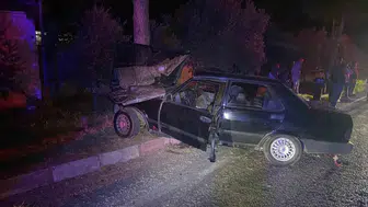 Ödemiş'te gece yarısı dehşeti: Köpeğe çarpmamak isterken ağaca çarptılar