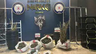 Fethiye'deki lüks villada uyuşturucu serası kurmuşlar: Bir tutuklama