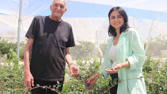 Beyaz yakalı hayattan topraksız tarım devrimine: İlter çiftinden İzmir’de örnek girişim