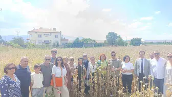 Kuşadalı kadınlardan Isparta çıkarması: Haşhaş tarlasında güç birliği