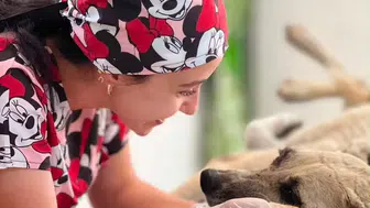 Ölümden döndü: Sarıgöl'de yaralı köpeğe belediye şefkati