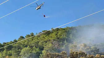 Ortaca’da ormanlık alanda korkutan yangın: Ekiplerin hızlı müdahalesi faciayı önledi