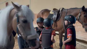 Muğla'da yaz tatili at sırtında geçecek: Çocuklar doğayla buluşuyor