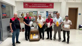 Köşk’te üreticinin yüzünü güldüren destek: Meyve sineğine karşı yarı yarıya hibe