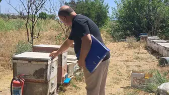 Köşk’te arıcıların yüzünü güldürecek çalışma: Destekler için sahaya indiler