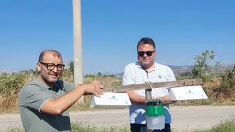 Pamukta verim kaybına feromonlu önlem: Efeler'de yeni dönem başladı