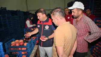 Çivril’de şeftali hasadından rafa uzanan yol haritası masaya yatırıldı