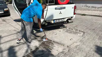 Germencik'te yaz aylarında haşere mesaisi: Ekipler sahada