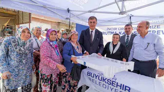 İzmir’in incirine büyükşehir dokunuşu: Hasatta kalite dönemi başlıyor