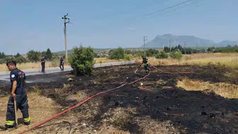 Datça’da korkutan yangın: Ekipler alevlerin evlere sıçramasını önledi