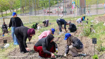 Beton binaların arasında yeşil mucize: İzmirli kadınlar toprağı berekete dönüştürüyor